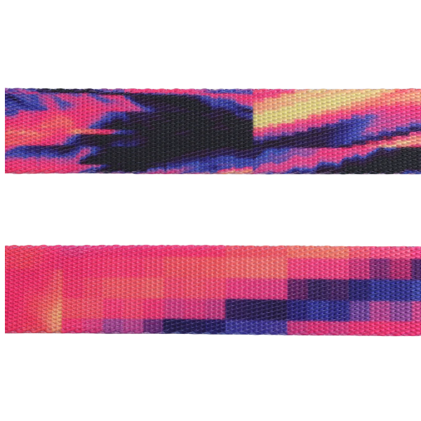 Zeedog Glitch Error 500 Leash