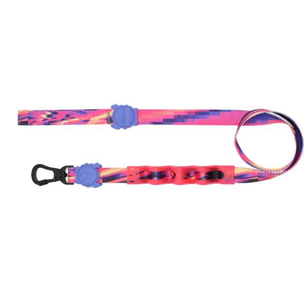 Zeedog Glitch Error 500 Ruff Leash