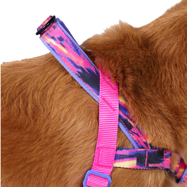 Zeedog Glitch Error 500 Walk Harness