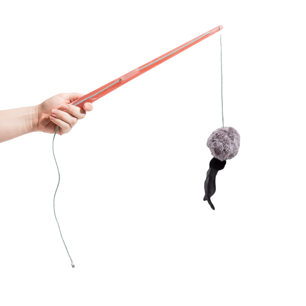 Zeedog Wand Tango