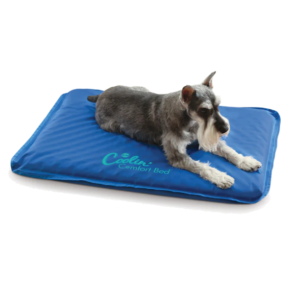 K&H -Coolin Comf Cob2232 Blu Md