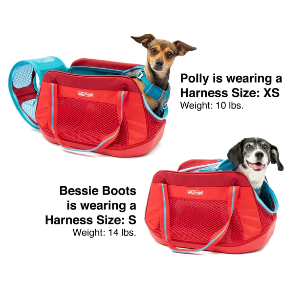 Kurgo Explorer Dog Carrier