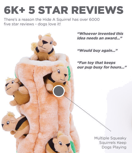 Outward Hound Hide A Toy Plush Puzzle Toy