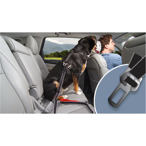 Kurgo Leash To Seatbelt Buckle
