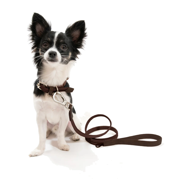 Obi Pet Supplies Correa - Rufo Caoba