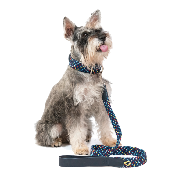 Obi Pet Supplies Correa - Rufo Blue Marine