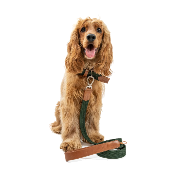Obi Pet Supplies Correa - Rufo Militar