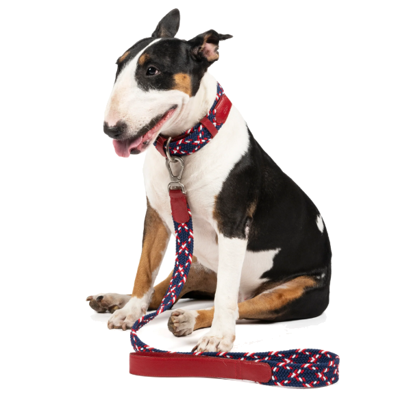 Obi Pet Supplies Correa - Rufo Tommy