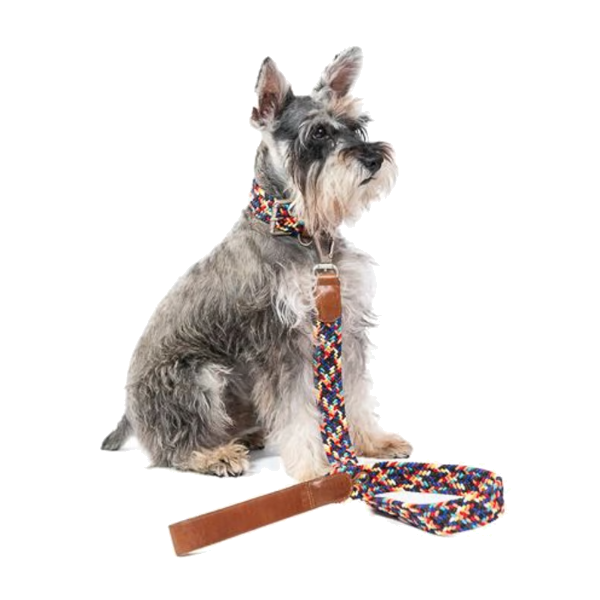 Obi Pet Supplies Correa - Rufo Sparkie