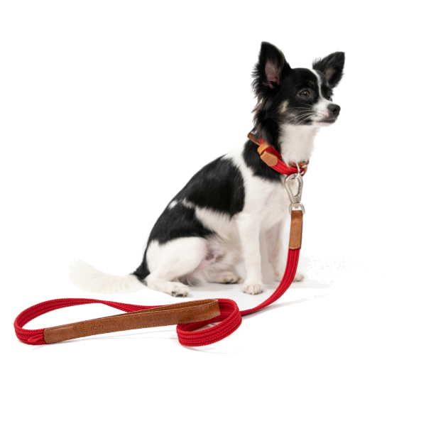 Obi Pet Supplies Correa - Rufo Cereza