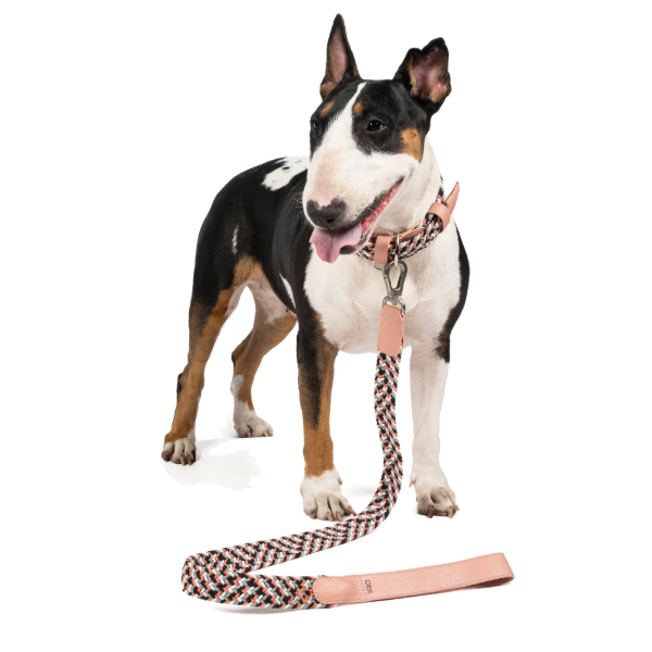 Obi Pet Supplies Correa - Rufo Pastel