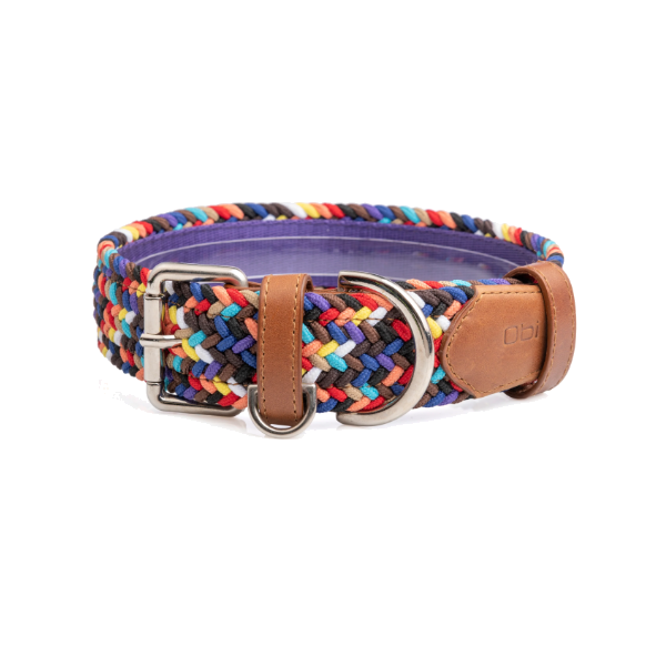 Obi Pet Supplies Collar - Cloe Sparkie
