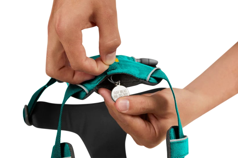 Nuevo-RuffWear Front Range Harness - Aurora Teal