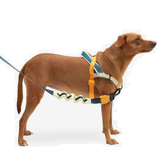 Zeedog Soft-Walk Harness - Voyage