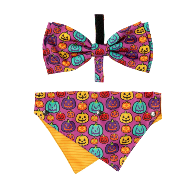 FuzzYard Halloween - Dog 2 Pack - Oh My Gourd!