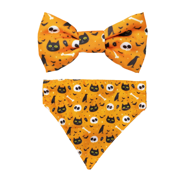 FuzzYard Halloween- Cat Fashion Pack - Spooky Kitty