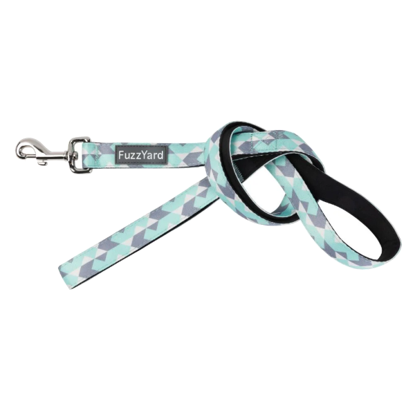 Fuzzyard Dog Lead - Mint Fizz