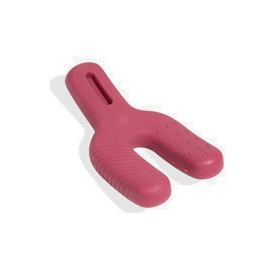 Zeedog WishBone Chew Toy