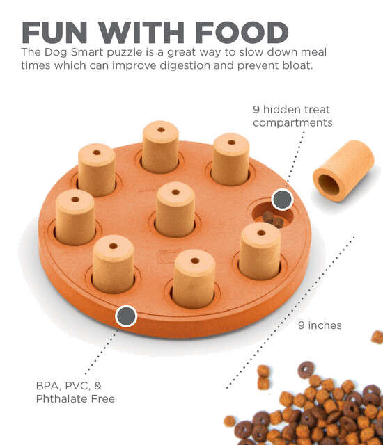 Outward Hound Dog Smart Composite Interactive Treat Puzzle Dog Toy, Orange