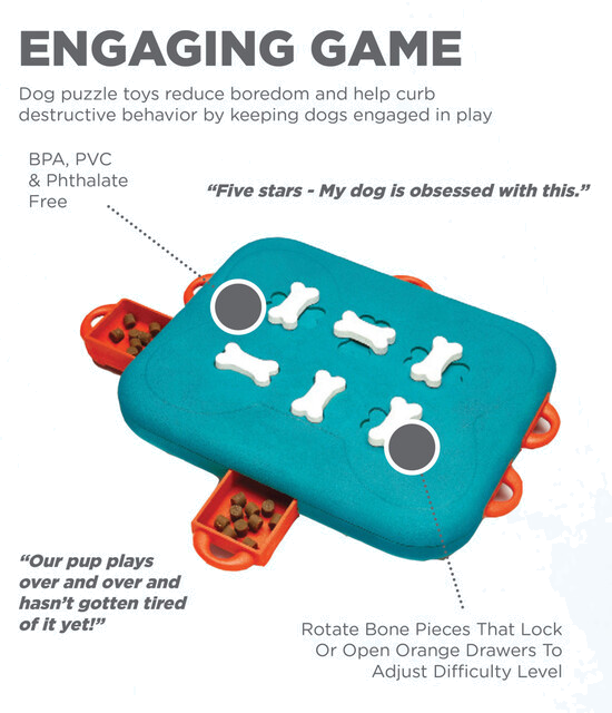 Outward Hound Dog Casino Interactive Treat Puzzle Dog Toy, Turquoise