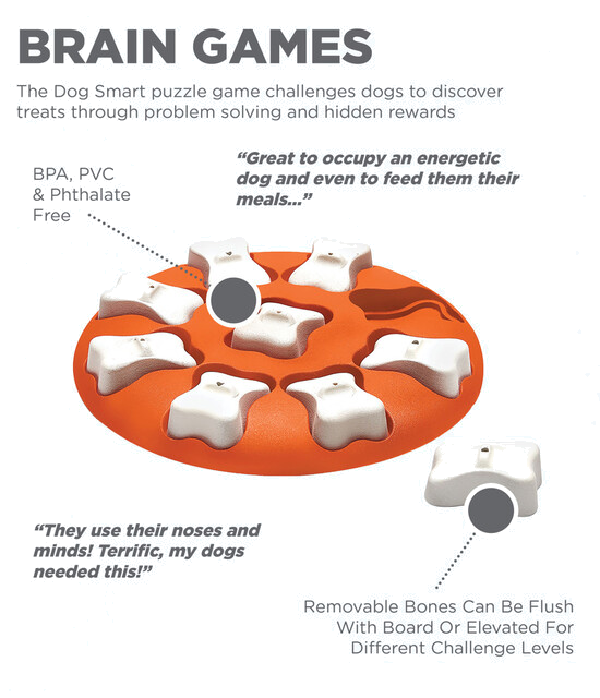 Outward Hound Dog Smart Interactive Treat Puzzle Dog Toy, Orange