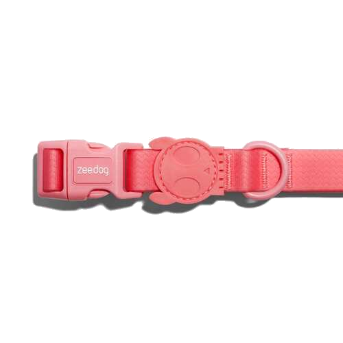 Zeedog Dog Collar - Neopro Bubblegum