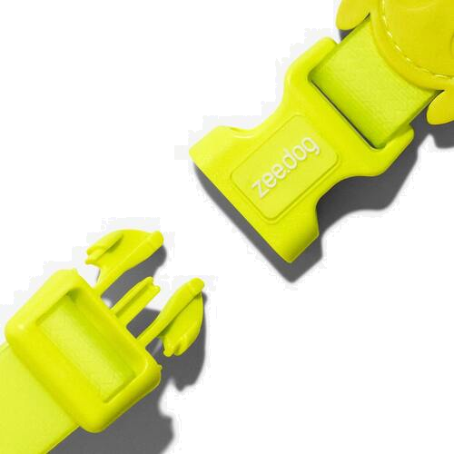 Zeedog Dog Collar - Neopro Green