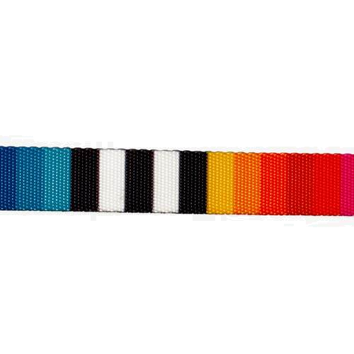 Zeedog Dog Collar - Prisma 