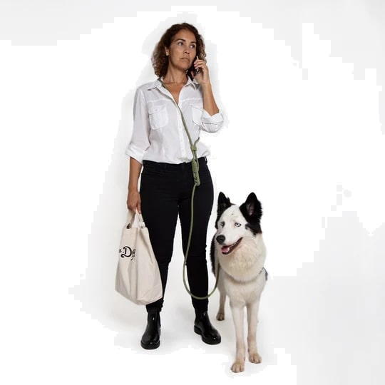 Zeedog Hands-Free Leashes - Army Green