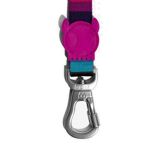 Zeedog Leash - Prisma