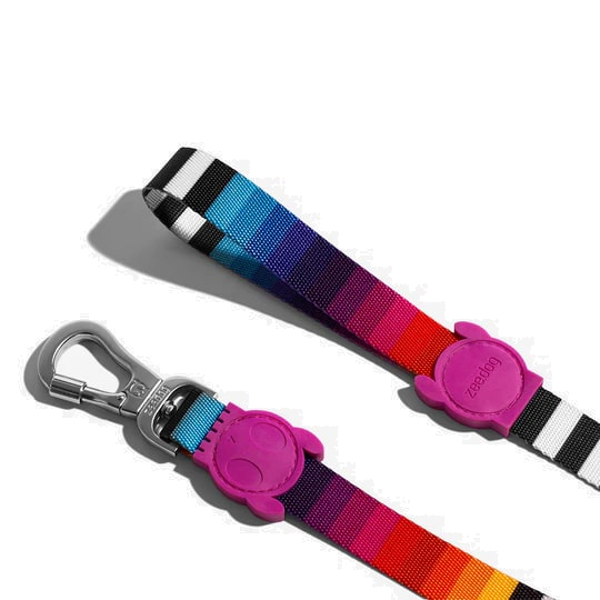Zeedog Leash - Prisma