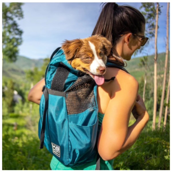 K9 - Trainer Turquesa S