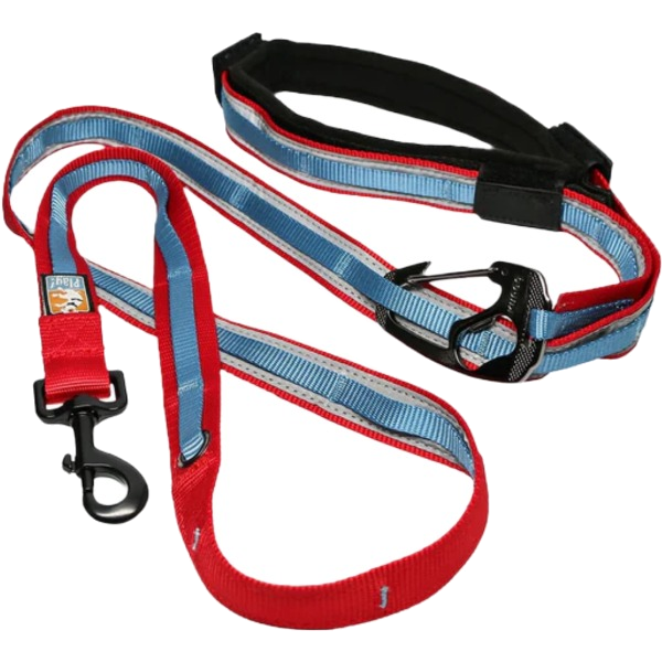 Kurgo -Quantum 6-In-1 Dog Leash
