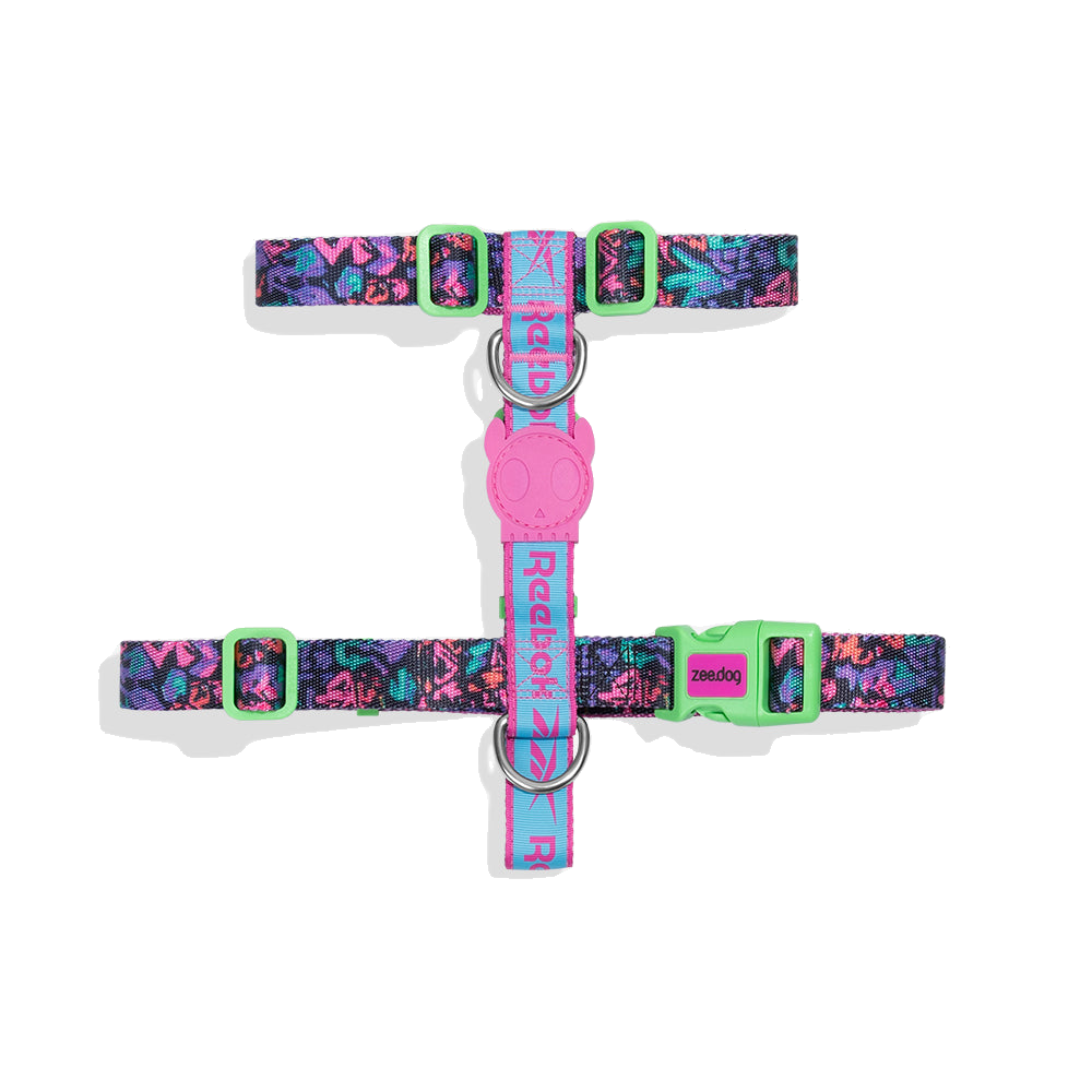 ZEEDOG - AEROBIC H-HARNESS