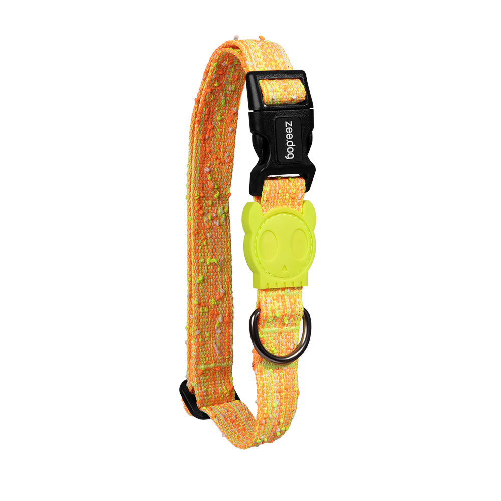 ZEEDOG - BIKR COLLAR