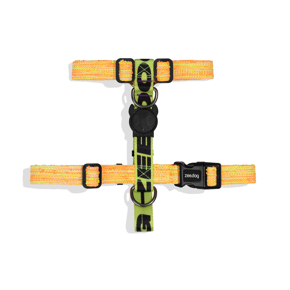 ZEEDOG - BIKR H-HARNESS
