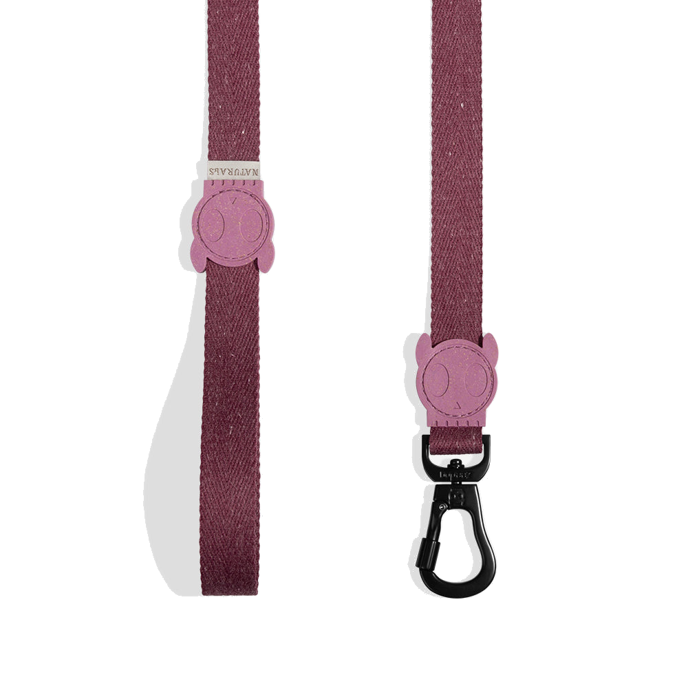 ZEEDOG - HIBISCUS LEASH