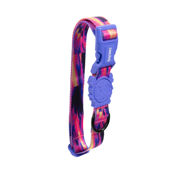 Zeedog Glitch Error 500 Collar