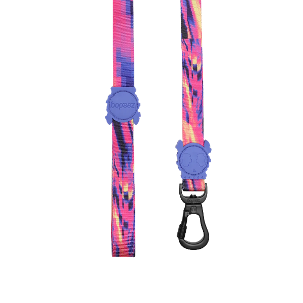 Zeedog Glitch Error 500 Leash