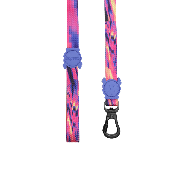 Zeedog Glitch Error 500 Ruff Leash