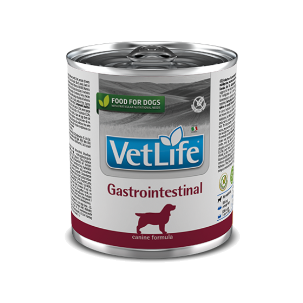 Vet Life Dog Gastrointestinal 300gr