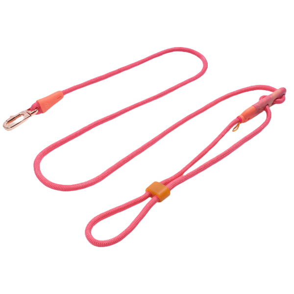 Zeedog  Gazelle Handsfree Leash