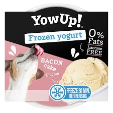 YowUp Frozen Yogurt Bacon Cake
