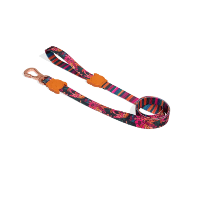 ZEEDOG - SELVA LEASH