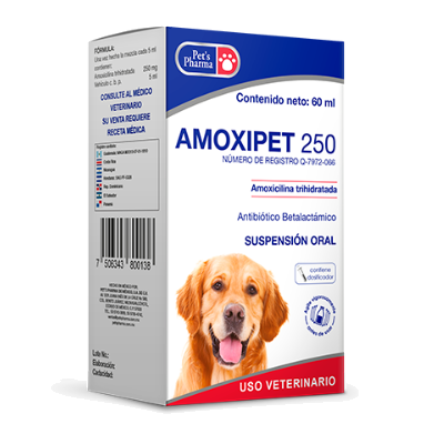 Amoxipet Plus