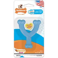 Nylabone Cachorro Dental Celeste Sabor Pollo Desde 7kg