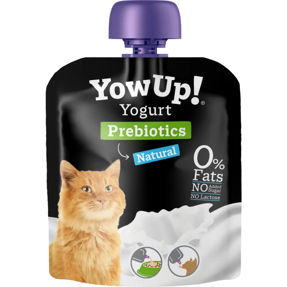 YowUp Yogurt With Prebiotics Natural 