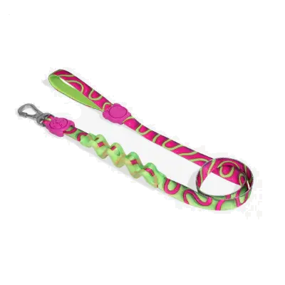ZEEDOG - JELLY RUFF LEASH 