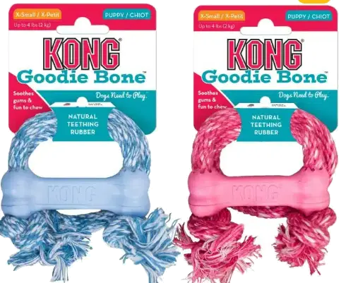 Kong Puppy Goodie Bone W/Rope xs