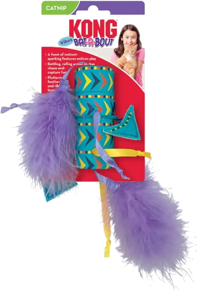 Kong Bat-A-Bout Vibez Roller 